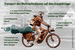 Wie kommt der Weihnachtsbaum ins haus? Mit dem Fahrrad natürlich.